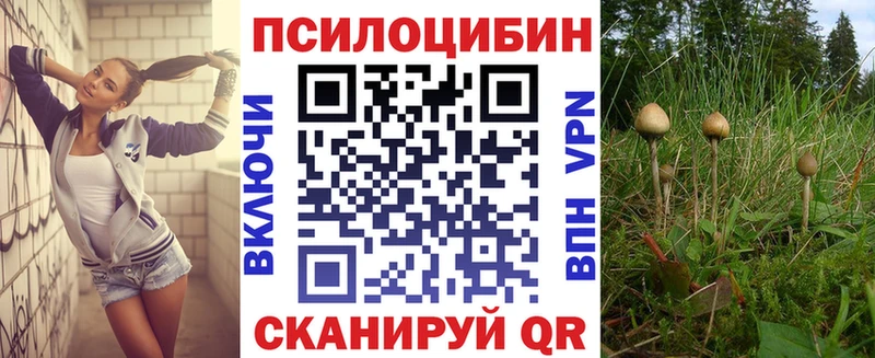 Псилоцибиновые грибы Psilocybine cubensis  Дивногорск 